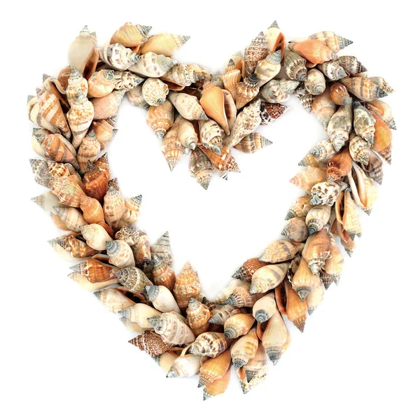 Heart Shaped Shell Wreath White Background Copy Space Romantic Symbol — Stock Photo, Image