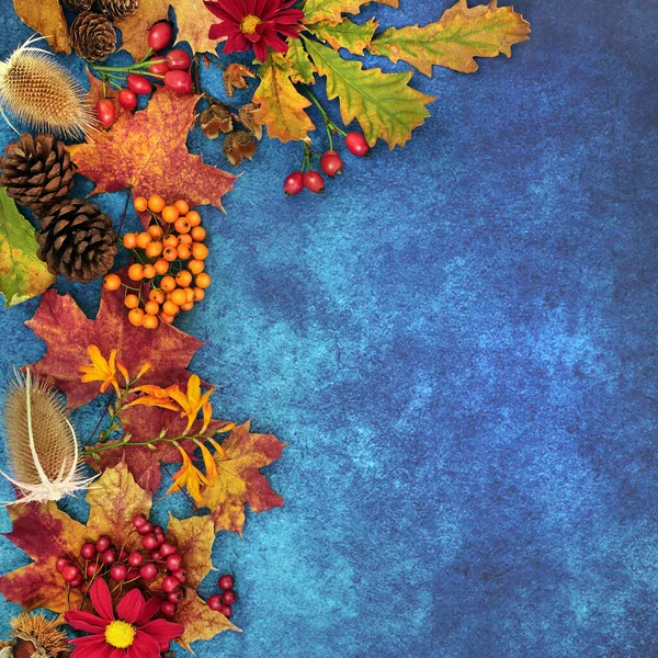 Outono Fronteira Fundo Com Comida Flora Fauna Fundo Azul Manchado — Fotografia de Stock