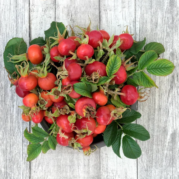 Rosa Mosqueta Fruta Fruta Alimentos Saludables Utilizados Medicina Herbal Utilizado —  Fotos de Stock