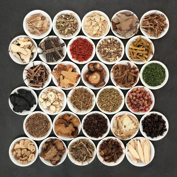 Grote Collectie Van Chinese Kruiden Specerijen Gebruikt Kruidengeneeskunde Witte Porseleinen — Stockfoto