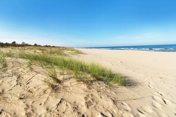 Dunes de sable de la mer Baltique — Photo