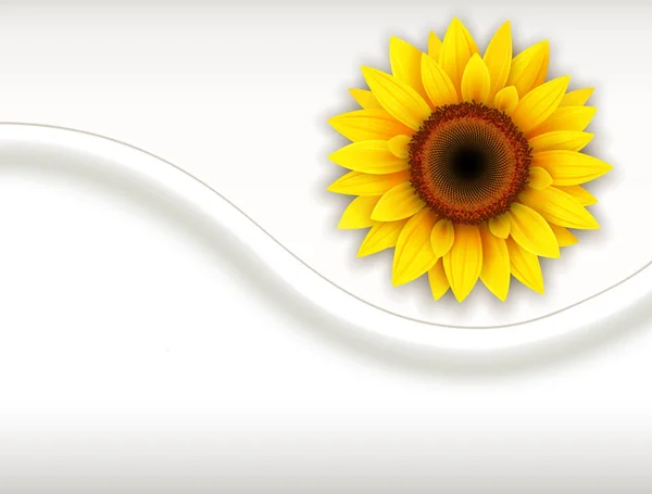 Hintergrund mit Sonnenblume — Stockvektor