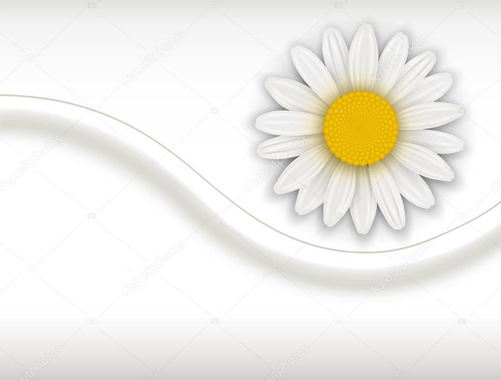 Background with white flower