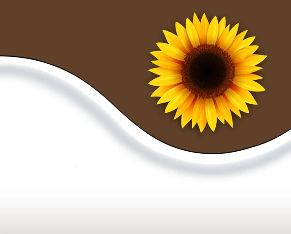 Hintergrund mit Sonnenblume — Stockvektor