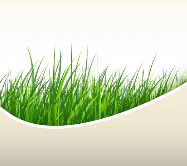 Natural background green grass — Stock Vector
