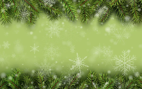 Christmas background green fir tree — Stock Vector