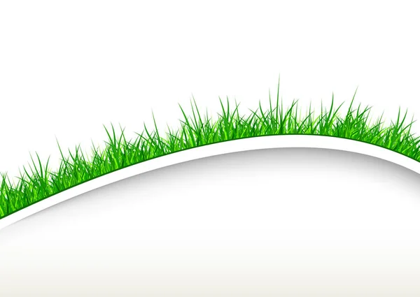 White background with green grass — Stock Vector