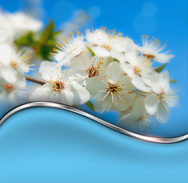 Virág Háttér Néhány Tavaszi Virágok Hullámos Panel Másolási Hely — Stock Fotó