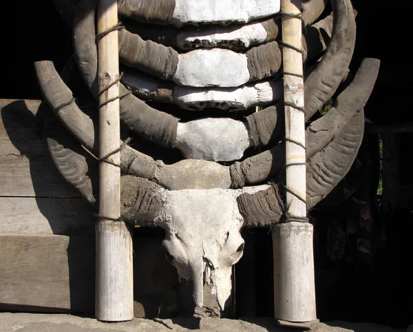 Cow skulls on the wall — Stock Photo, Image