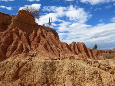 Kolombiya Desierto de Tatacoa adlı kırmızı kaya oluşumu