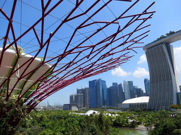 Vista Del Centro Singapur Desde Supertree Grove Gardens Bay —  Fotos de Stock