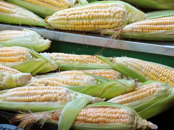 Corns in a row in a market — Stock Photo, Image