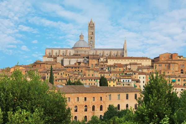 Panorama della città di Siena — Foto Stock
