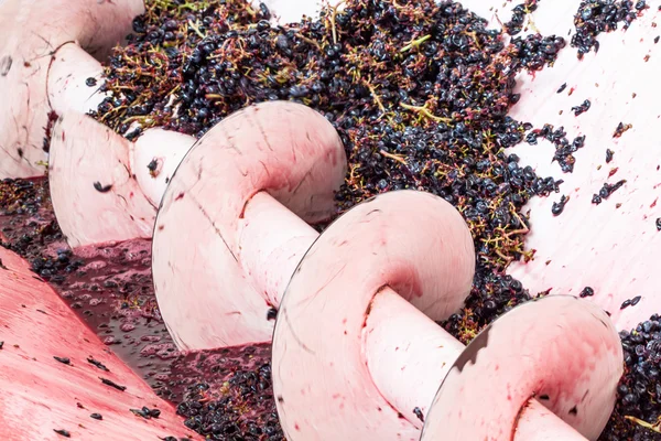 Crushing grapes by machine — Stockfoto