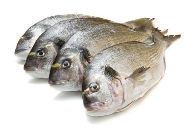 çipura grubu