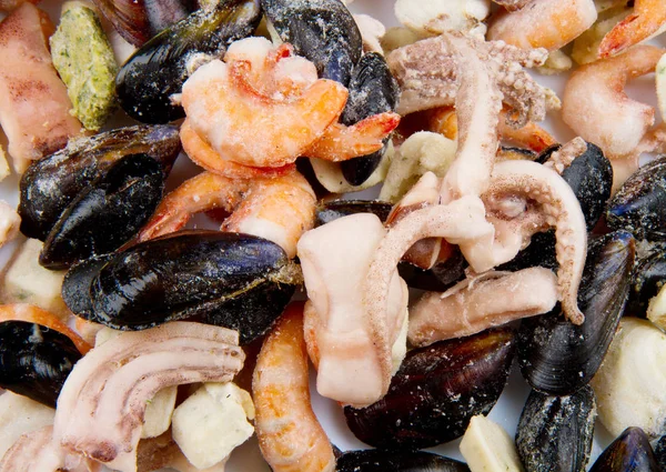 Lahodné mořské plody mražené — Stock fotografie