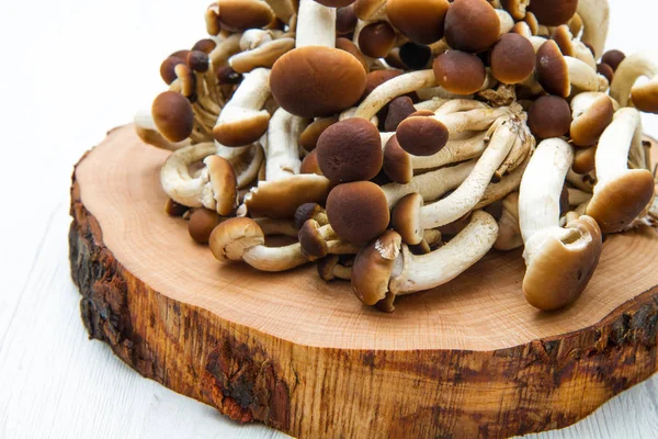 Mushrooms on  wood table — Stock Photo, Image