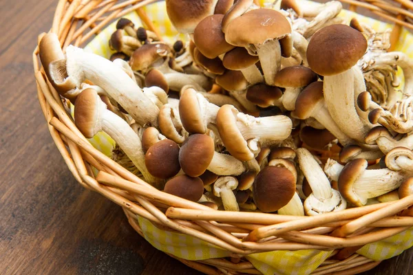 Chiodini mushrooms in basket — Stock Photo, Image