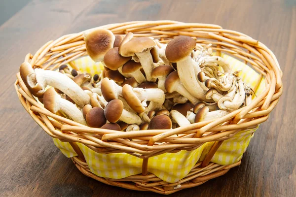Mushroon Chiodini w koszyku słomy — Zdjęcie stockowe
