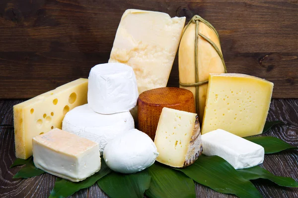 Various types of soft and hard cheese — Stock Photo, Image