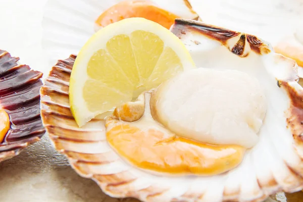 Fresh scallops with shell — Stock Photo, Image