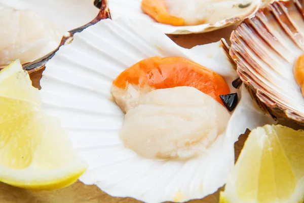 Fresh scallops with shells — Stock Photo, Image