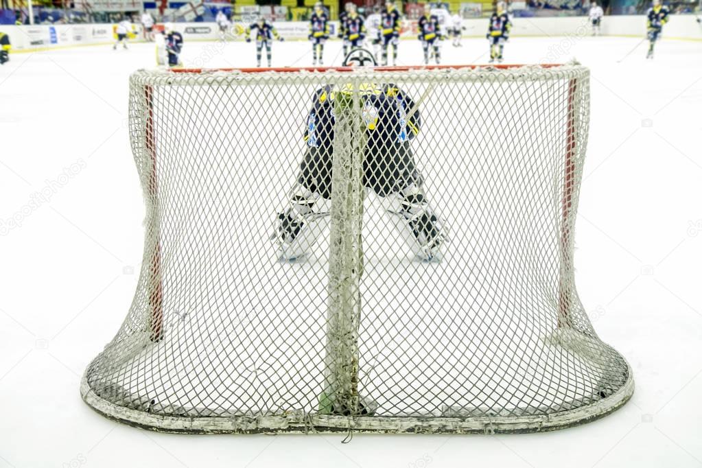 ice hockey goalie 