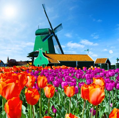 Hollanda yel değirmeni fotoğrafı 