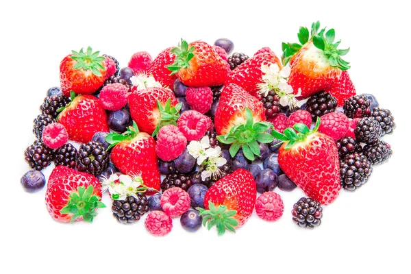 Fresh ripe berries — Stock Photo, Image