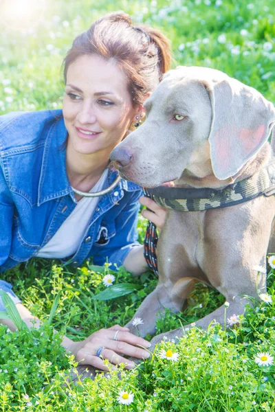 Женщина с собакой Ваймаранер — стоковое фото