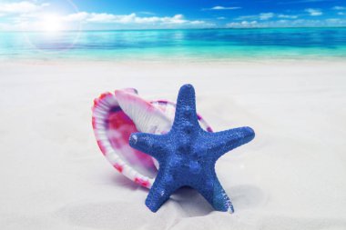 Yaz arka plan beyaz kum, deniz yıldızı ve kabukları ile 