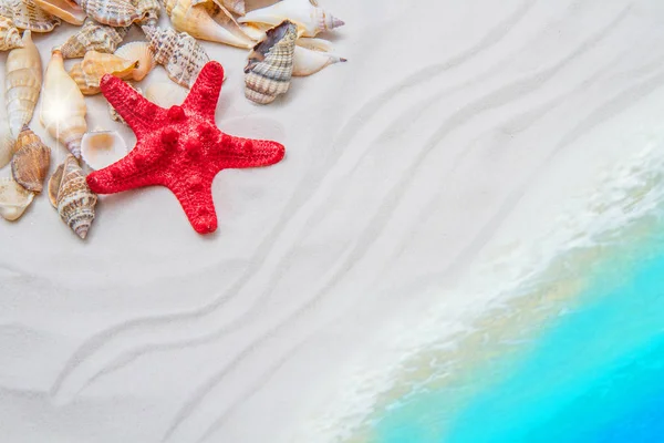 Fundal de vară cu nisip alb, stele de mare și scoici — Fotografie, imagine de stoc