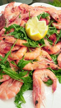 pembe küçük karides yakın çekim 