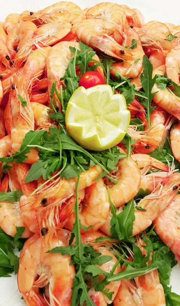 pembe küçük karides yakın çekim 