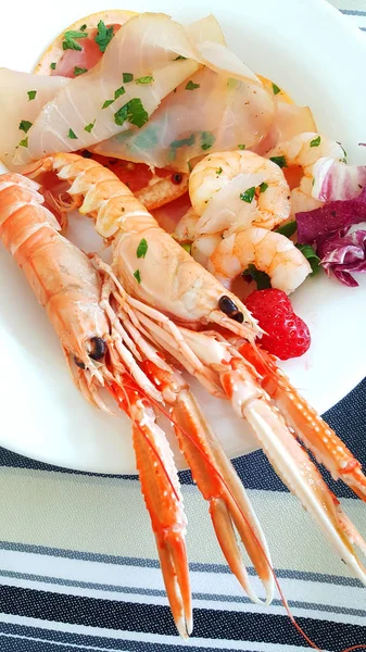 Aperitivo de mariscos con gambas, carpaccio de atún y rodajas de pomelo — Foto de Stock