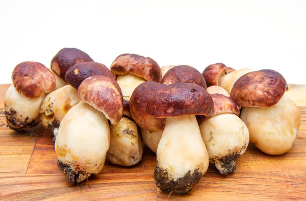 Group of porcini mushrooms on wooden chopping board — Stock Photo, Image