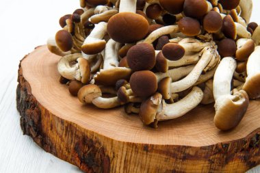  Ahşap masa üzerinde mantar