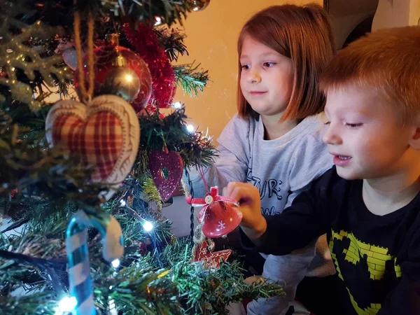 幸せな子供のクリスマス ツリーを探して — ストック写真
