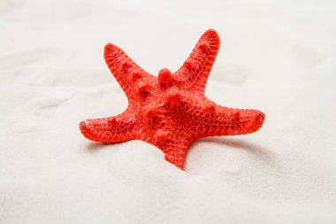 Yaz arka plan beyaz kum, deniz yıldızı ve kabukları ile 