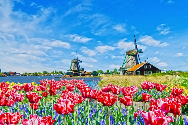 Molino de viento en Holanda — Foto de Stock