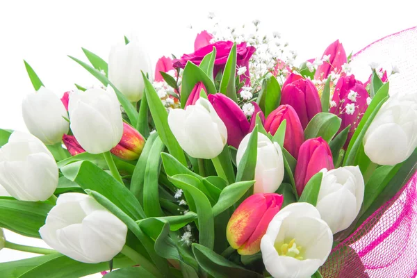 赤と白のチューリップと 1 つのローズの美しい花束 — ストック写真