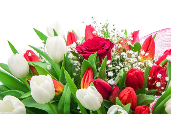 Beautiful bouquet of red and white tulip and one rose — Stock Photo, Image