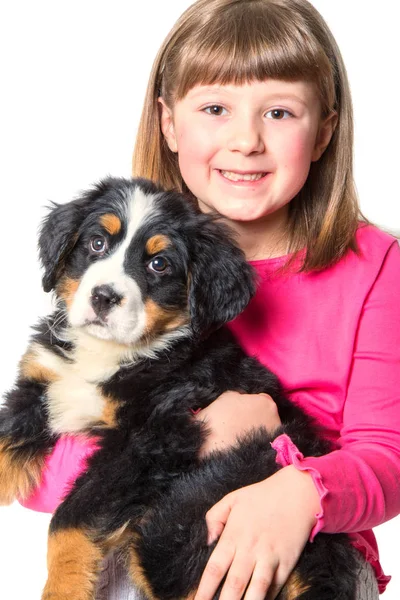 Молодая девушка обнимает щенка горного пса Бернеза — стоковое фото
