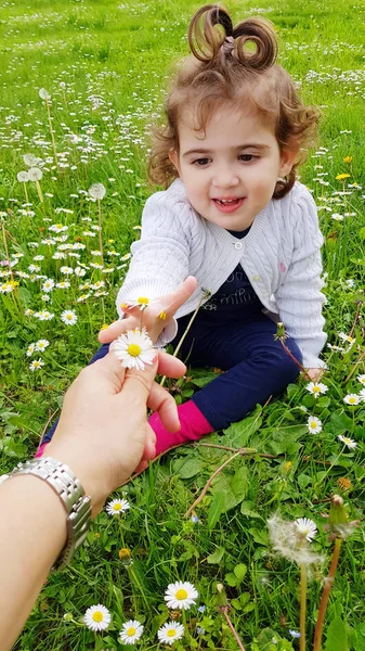 Kleines Mädchen Spielt Mit Gänseblümchen — Stockfoto