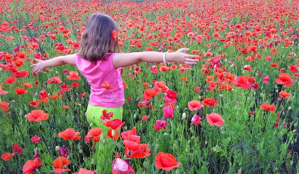 Genç kız haşhaş alanına yürüyüş — Stok fotoğraf