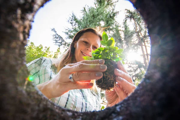 Frau pflanzt Blumen in die Erde — Stockfoto