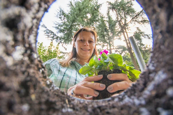 Frau pflanzt Blumen in die Erde — Stockfoto