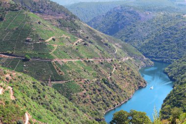 Sil kanyonu, Ribeira Sacra, Ourense, Galiçya, İspanya. 