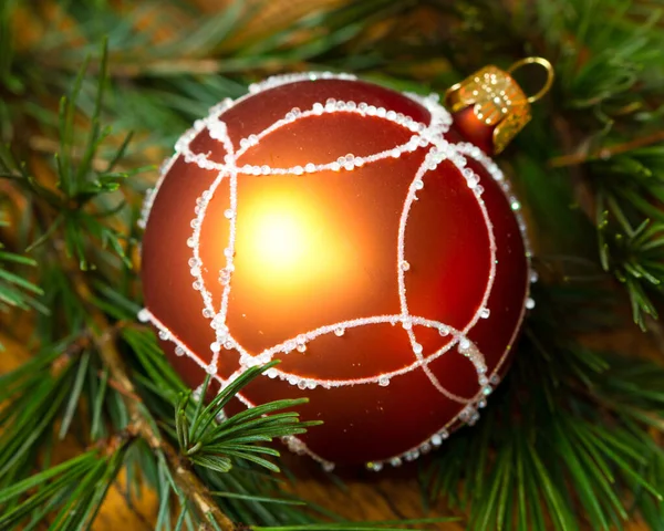 Weihnachtskugel — Stockfoto