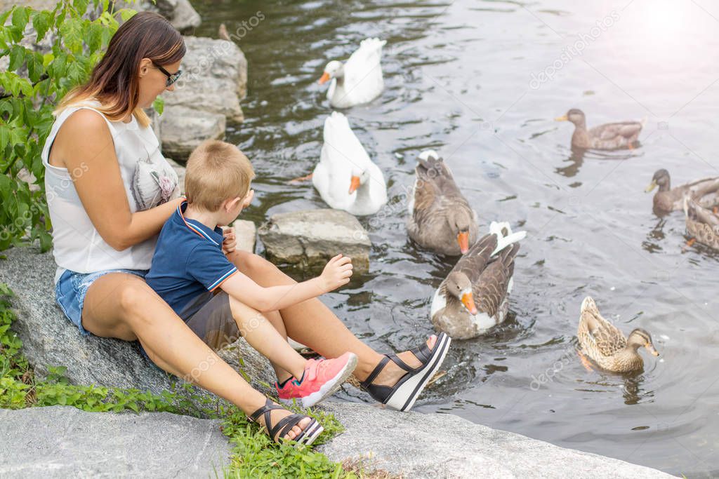 mother and her child feed the geese in the pond